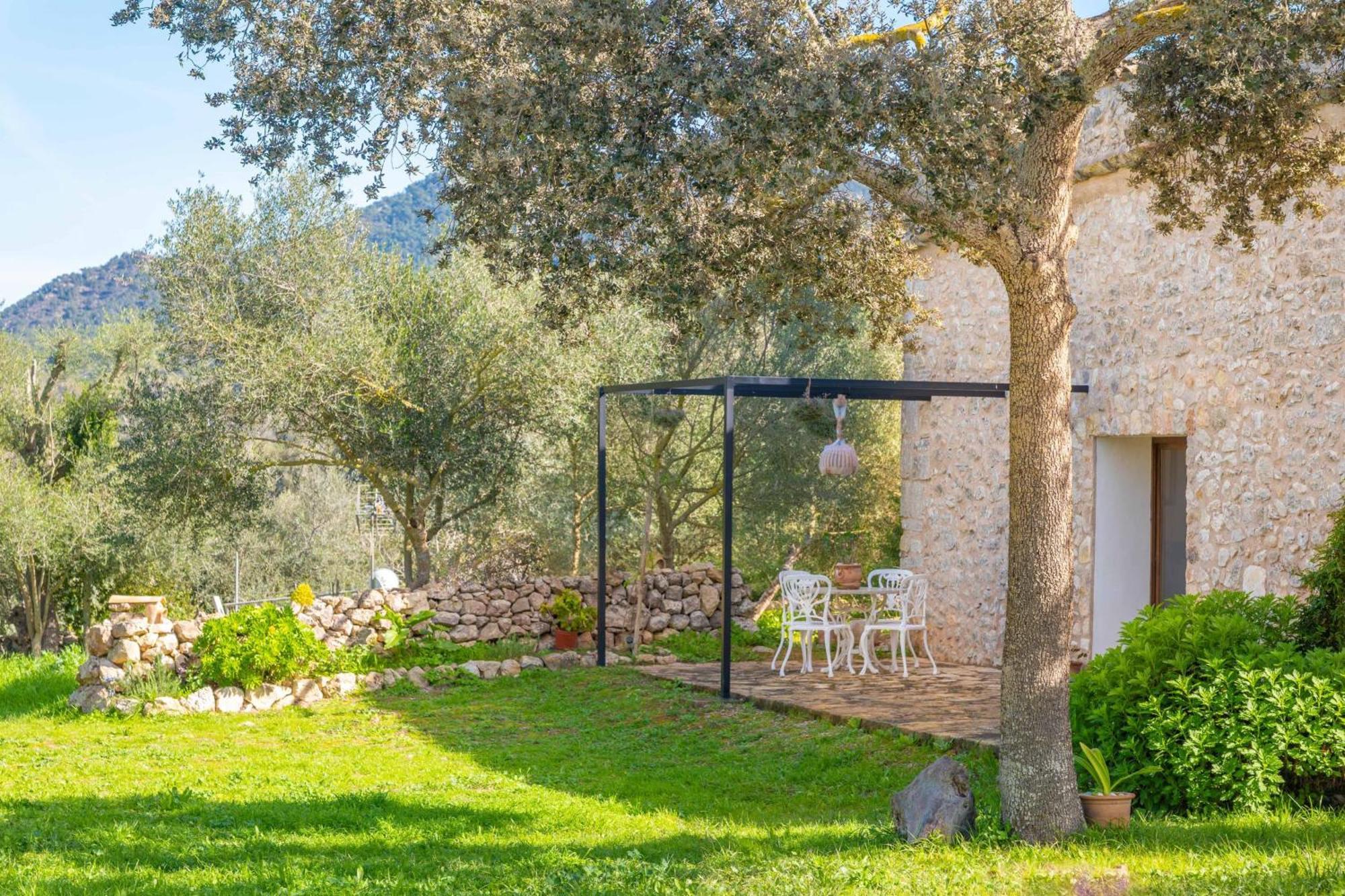 Villa Ca Ses Falies Felanitx